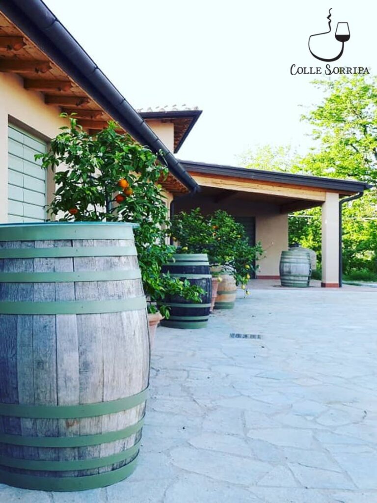 Cantina Colle Sorripa